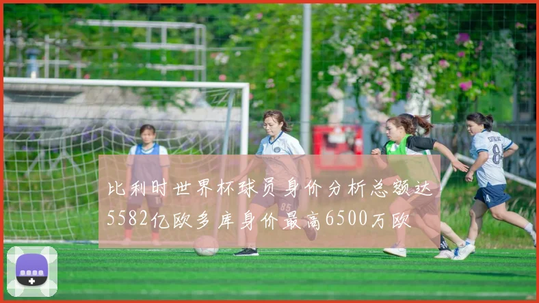 比利时世界杯球员身价分析总额达5582亿欧多库身价最高6500万欧