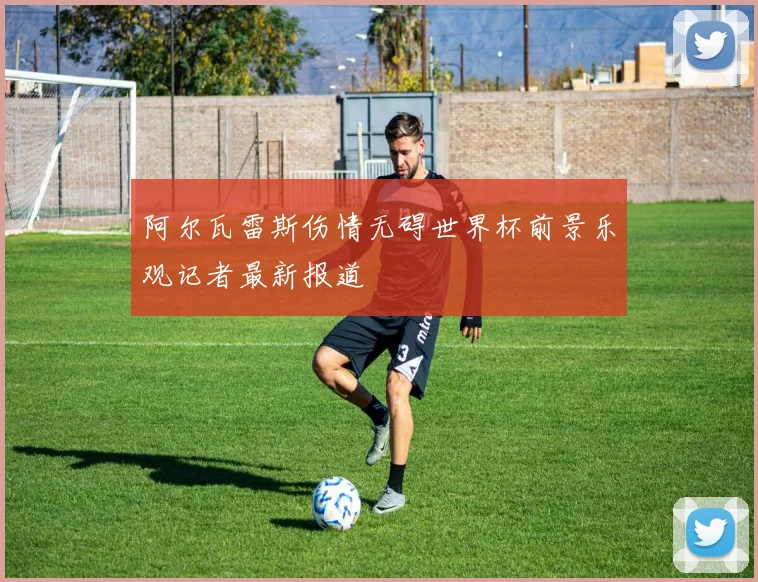 阿尔瓦雷斯伤情无碍世界杯前景乐观记者最新报道