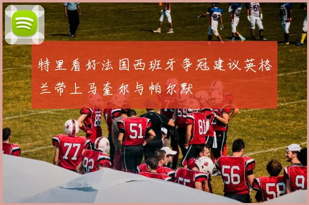 特里看好法国西班牙争冠建议英格兰带上马奎尔与帕尔默
